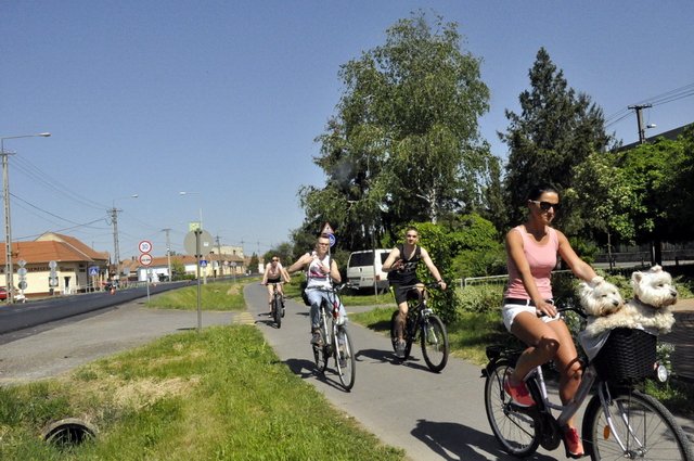 Critical Mass 2018 14